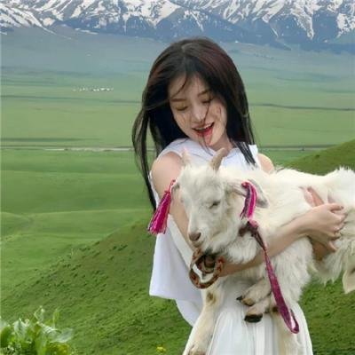 霍兰先生的乐章